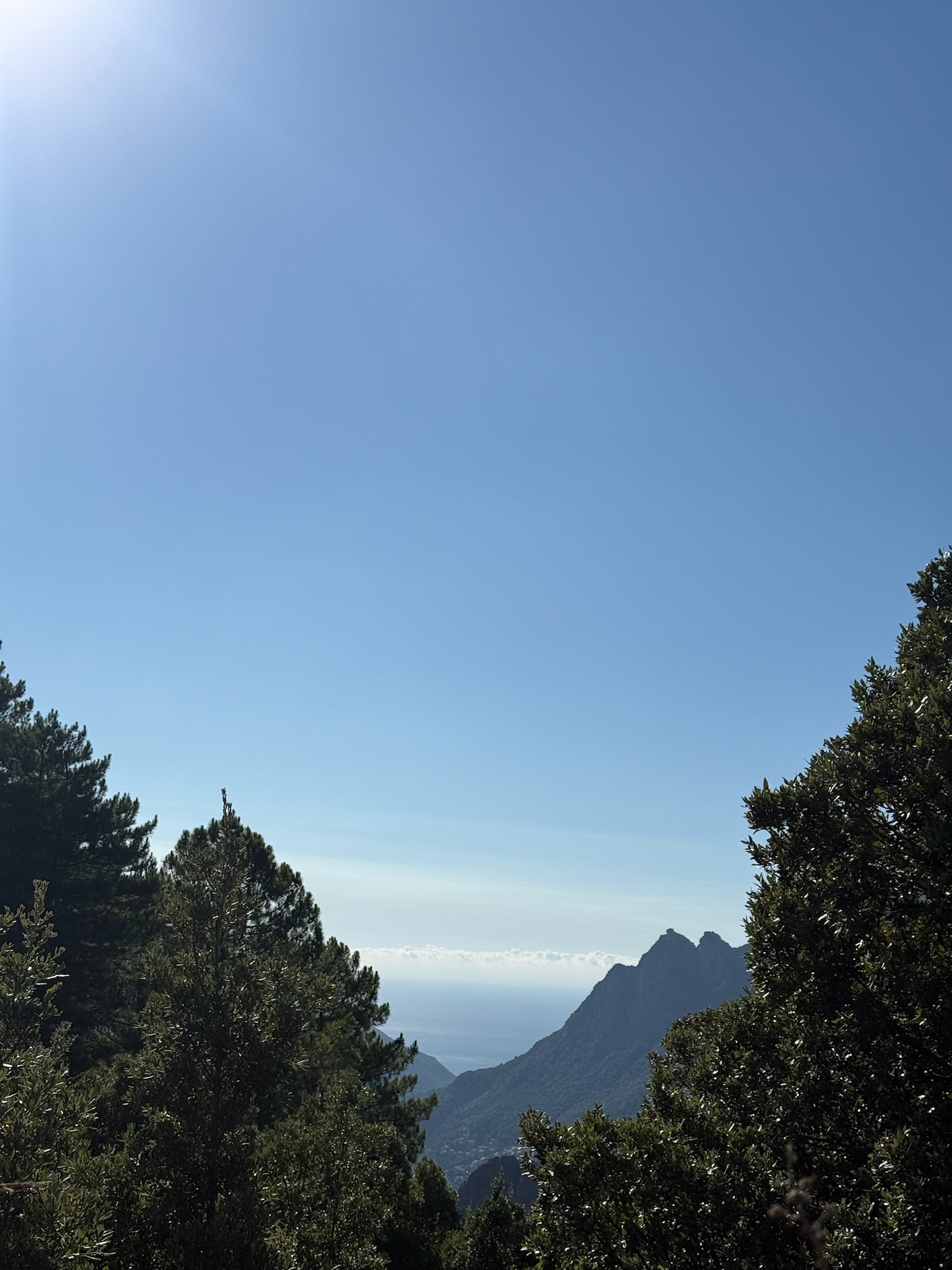 Paysage montagne